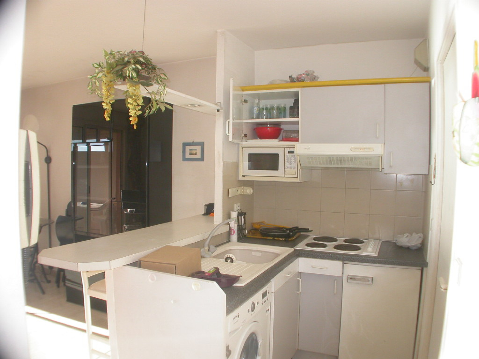 Image_, Appartement, Cap-d'Ail, ref :L460